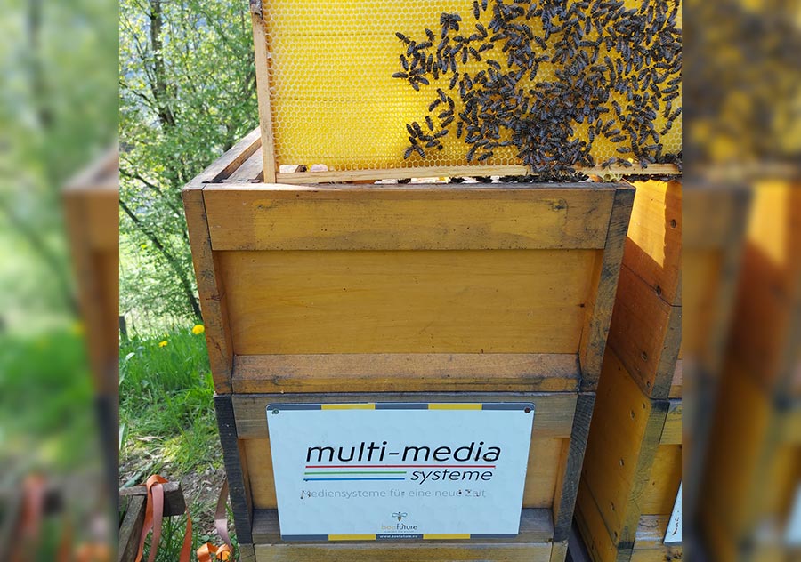 Bienendurchsicht Frühjahr 2022 bei der multi-media systeme AG
