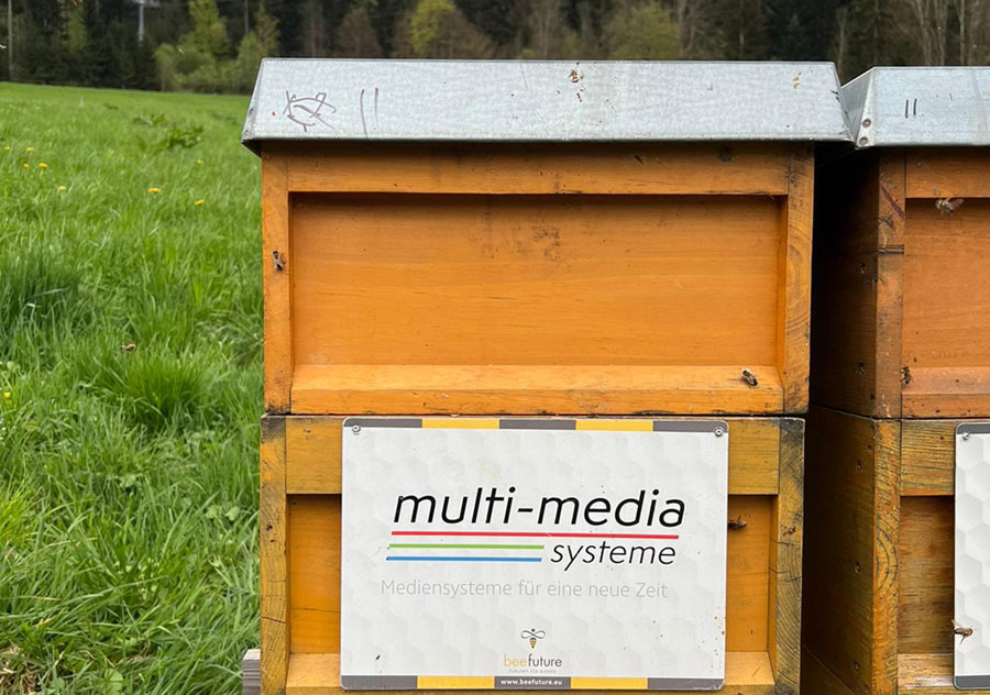 Bienenstock der multi-media systeme
